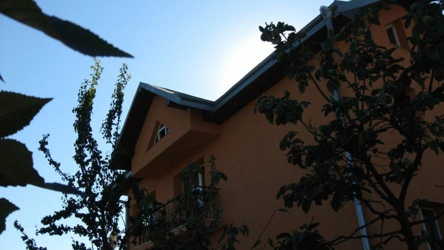 Lary Hostel Suceava Exterior photo