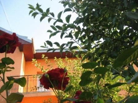 Lary Hostel Suceava Exterior photo