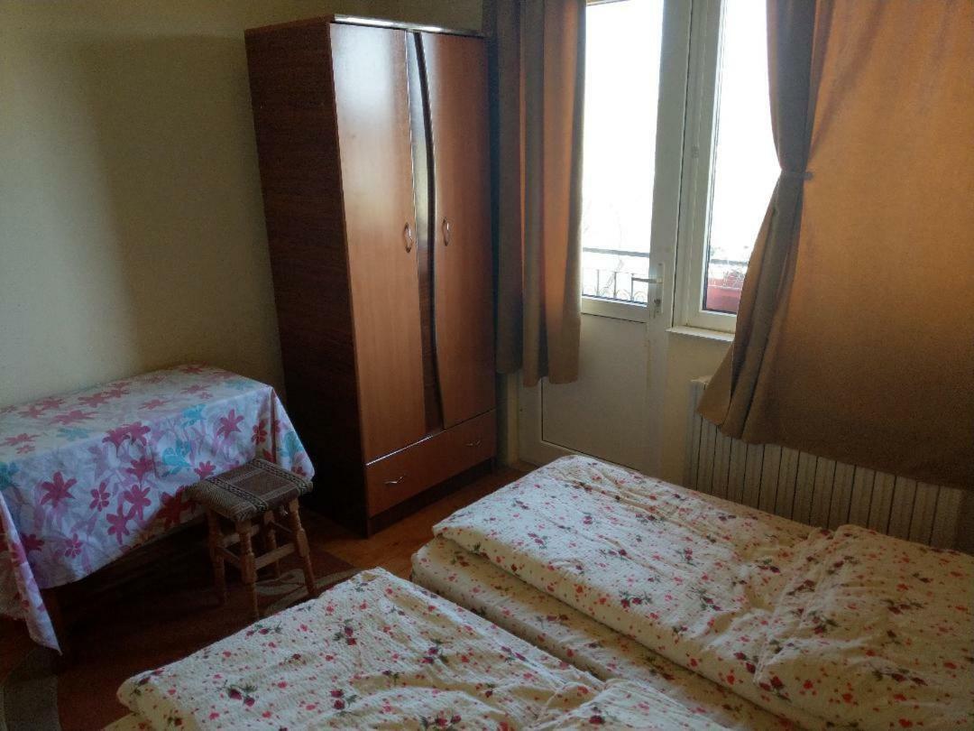 Lary Hostel Suceava Exterior photo